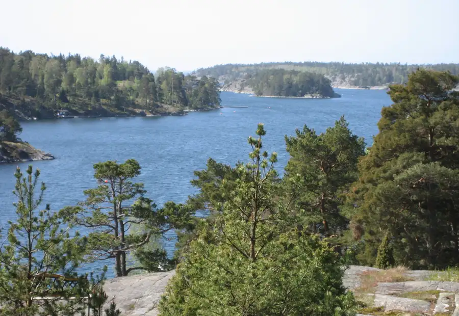Schwedische Schärenlandschaft mit Wasser, Felsen und Kiefern