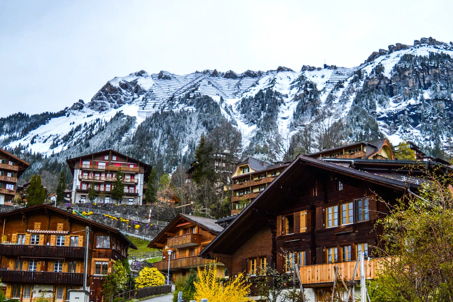 Natururlaub in der Schweizer Bergwelt