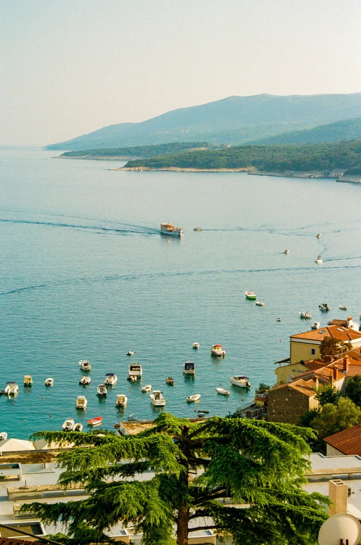 Urlaub mit Hund in Kroatien