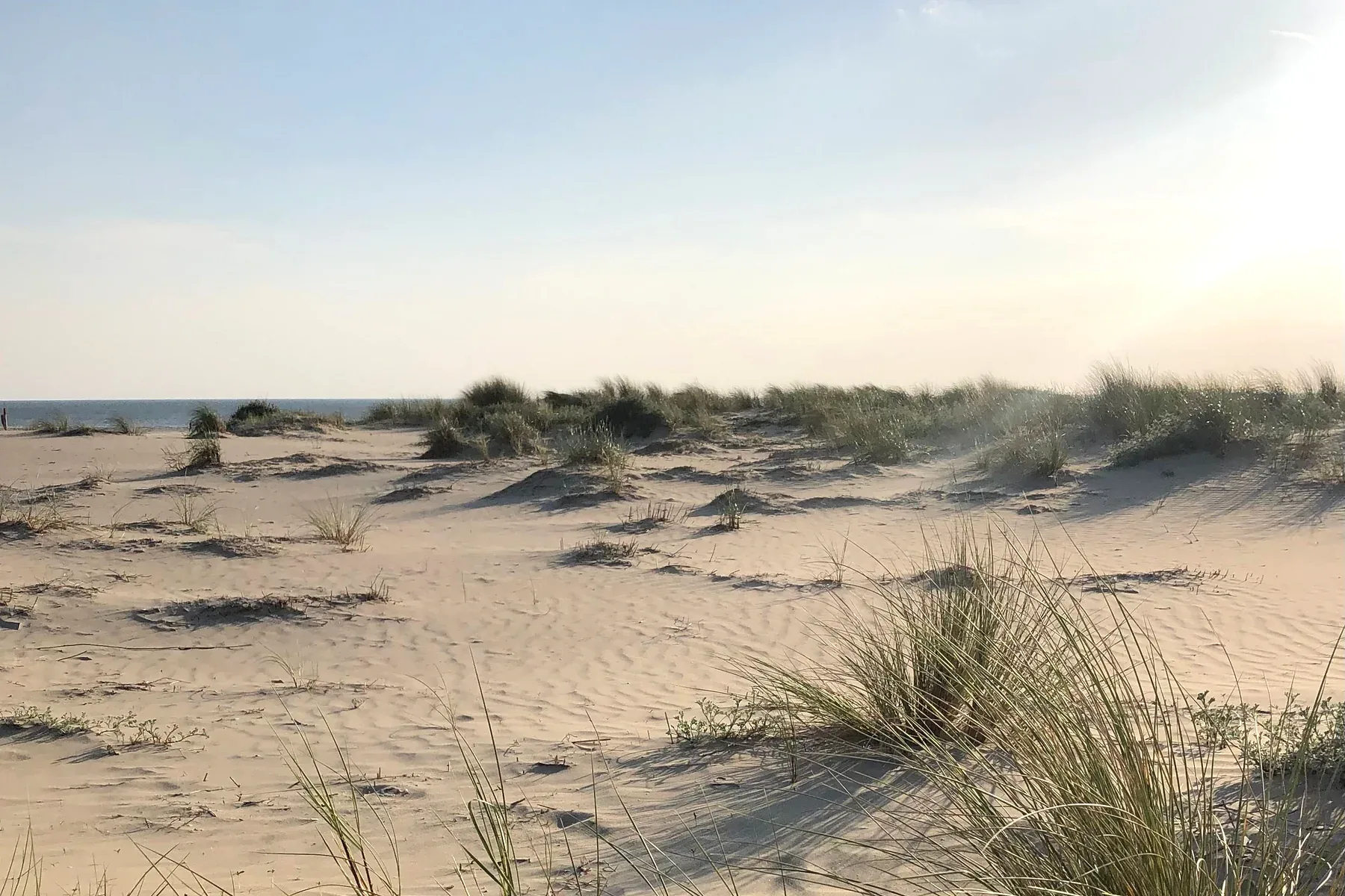 Sonnige Ferienlandschaft in den Niederlanden