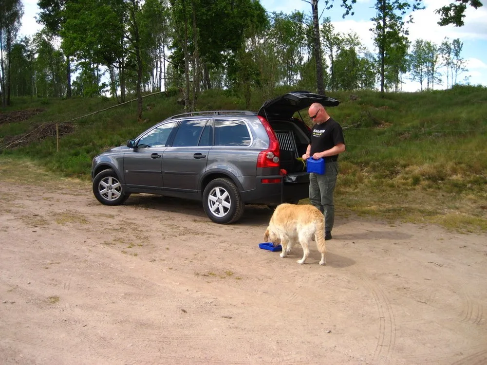 Jürgen versorgt seinen Hund während einer Reisepause am Auto